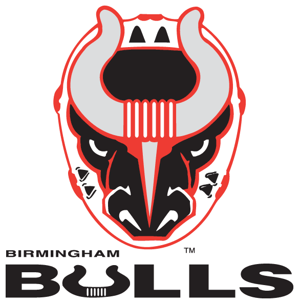 Birmingham Bulls 2017 18-Pres Primary Logo iron on paper